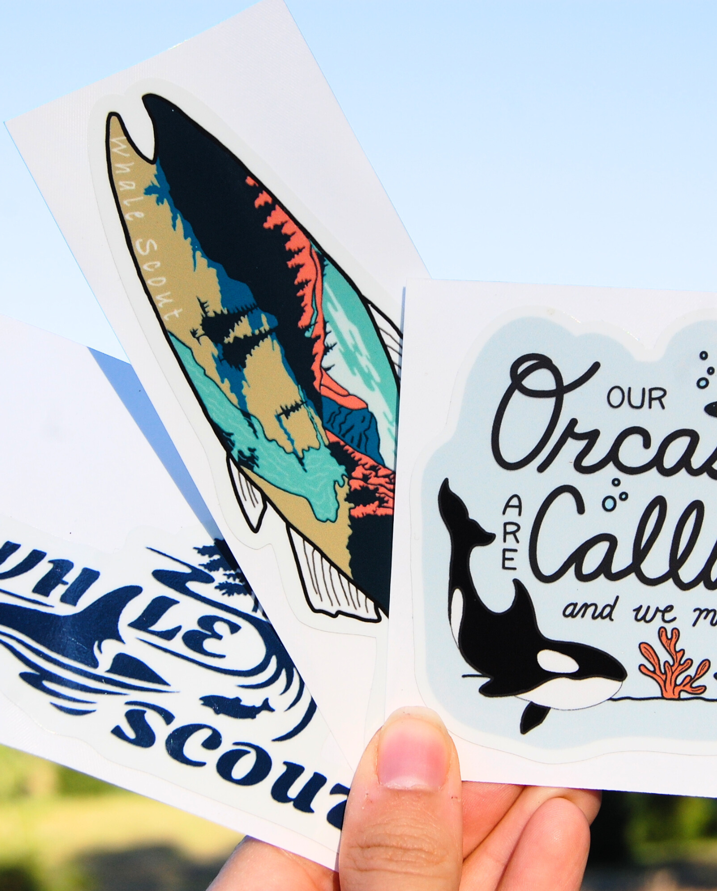 Scout Window Sticker Sticker Pack 2 – Whale Scout